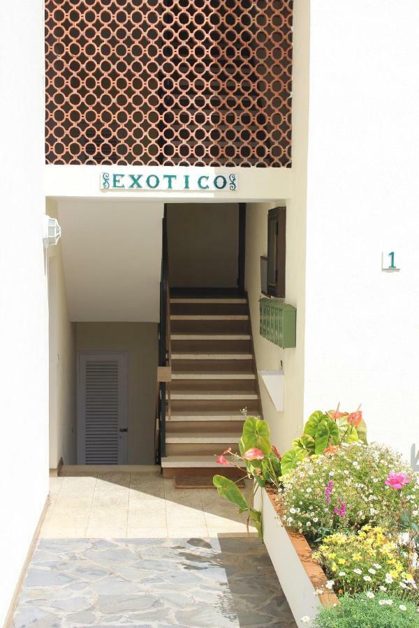 Holidaynorthtenerife Exotic Apartament Los Realejos Extérieur photo