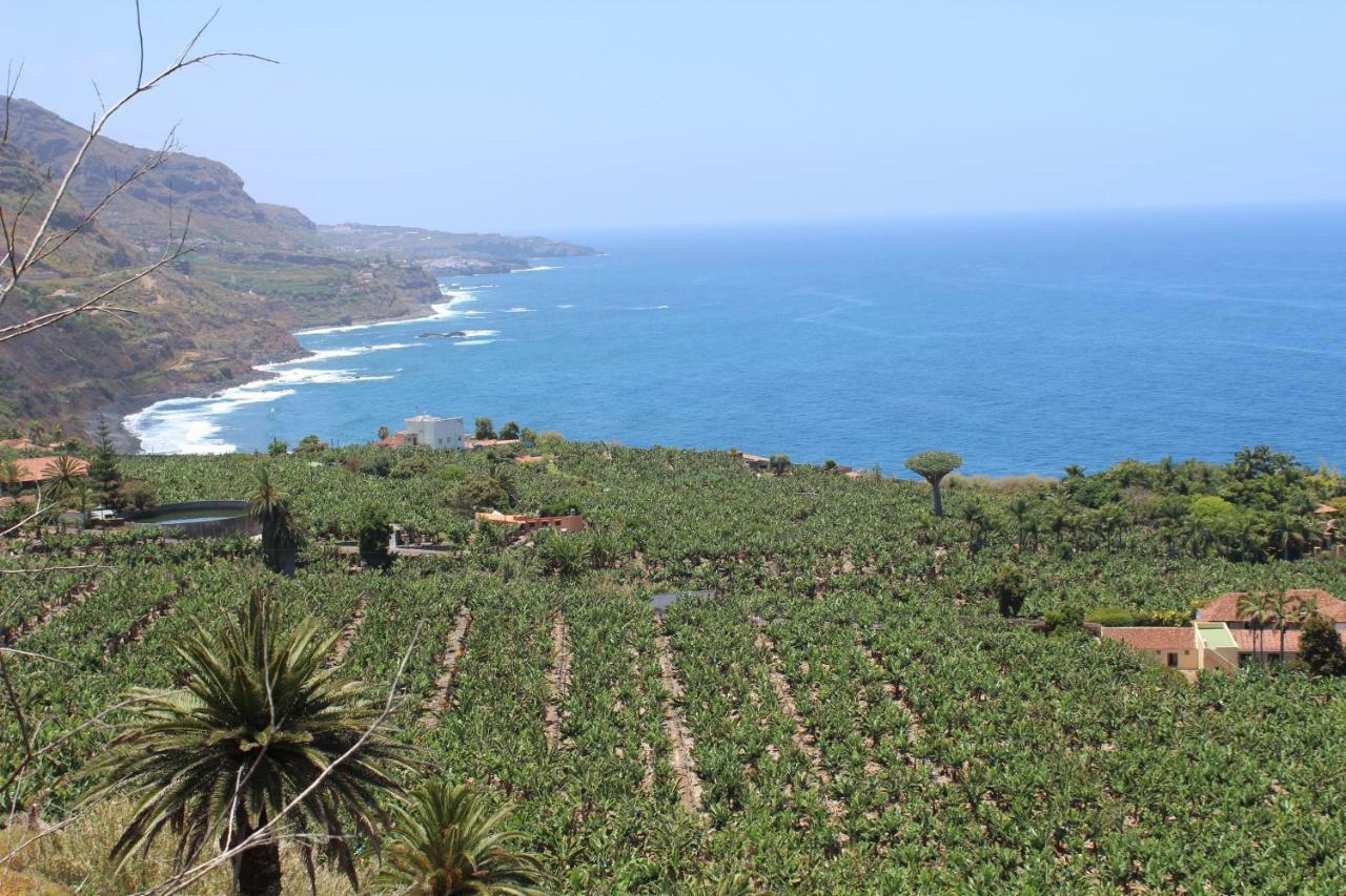 Holidaynorthtenerife Exotic Apartament Los Realejos Extérieur photo